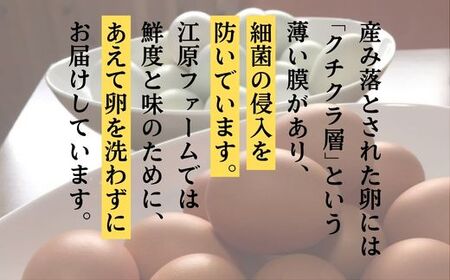 江原ファーム　体に優しい地養卵（８０個）_AG05〇