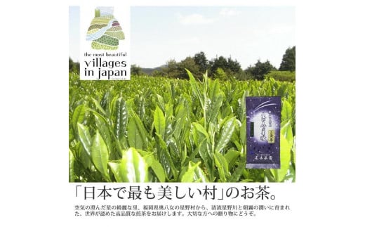 【定期便6回コース】奥八女星野村 深蒸し高級煎茶(深蒸し茶)100g×1袋＜八女茶＞