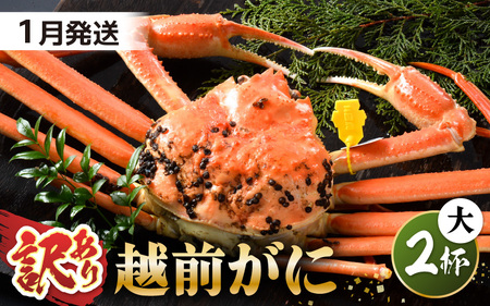 越前蟹 訳あり 茹で 越前ズワイガニ 大 2杯 脚折れ 【1月発送分】 [N-1401_01]
