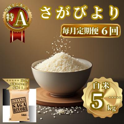 ふるさと納税 佐賀県 【毎月定期便】さがびより白米5kg(佐賀県)【41ANAD013】全6回