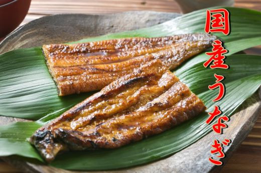 表面はサクッと、中はふわっと、頬張ればほろっとほぐれる食感