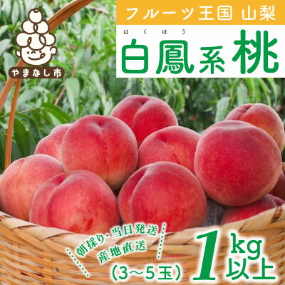 山梨県産 桃 白鳳 1kg以上(3～5玉)【配送不可地域：離島】