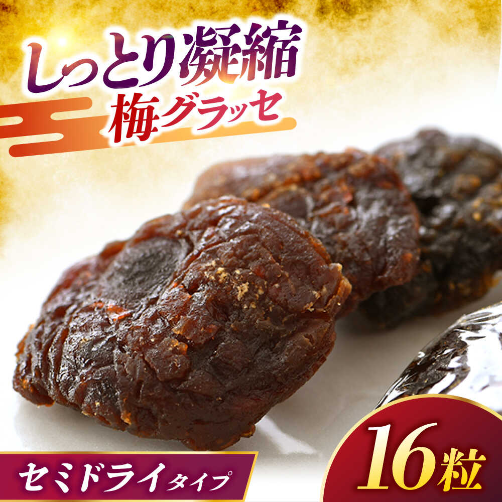 【ふるさと納税】うめグラッセ セミドライ 16粒入 紅映梅使用 / 梅 ウメ 甘酸っぱい 梅スイーツ 小浜市 / アップ・トゥ・ユウ[BFAU006]