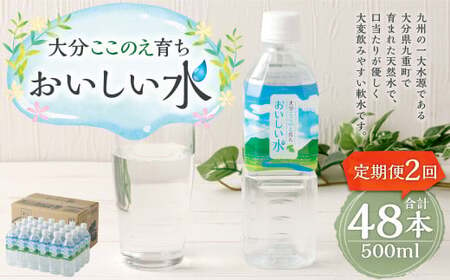 【2ヶ月定期便】大分 ここのえ育ち おいしい 水 500ml×24本 合計48本