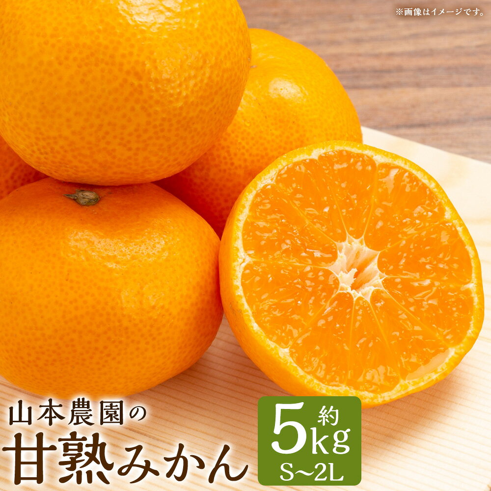 【ふるさと納税】山本農園の甘熟みかん5kg　みかん ミカン 蜜柑 温州みかん 完熟みかん 甘熟 柑橘 有機栽培 国産 佐賀県産 太良町 こだわり 贈答品 産地直送 詰め合わせ L13x1 【2026年10月上旬～2027年1月上旬】