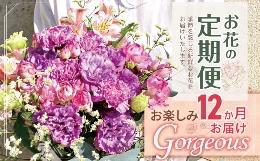 お楽しみ！ 12か月 お届け お花 の 定期便 「Gorgeous」 |  ブーケ タイプ 高さ45cm-50cm 本数15-20本 flower フラワー ふらわー 花 はな リトルシード インテリア 植物 定期 お任せ お見舞い ギフト お祝い 誕生日 親孝行 プレゼント贈り物 新鮮 調布 東京都