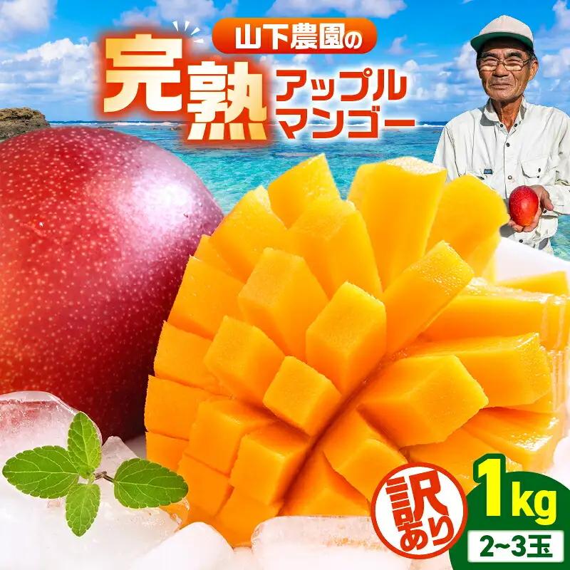【 2027年 先行予約 】【 訳あり 】 甘い香り の 贈り物 ！ 山下農園 の 完熟アップルマンゴー 1kg （ 2～3玉 ） W063-004-01 わけあり 期間限定 果物 マンゴー