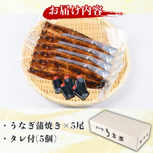国産！うなぎ蒲焼き(5尾・タレ付き) 国産 九州産 鹿児島県 宮崎県 鰻 ウナギ unagi うな重 うな丼 ひつまぶし うなじゅう 蒲焼 かばやき 無頭 魚 魚介類 土用 丑の日 タレ タレ付 おか