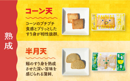 【月1回8品×6回定期便】かまぼこ詰合せ8品セット計48品＜長崎井上蒲鉾＞[EAG025]