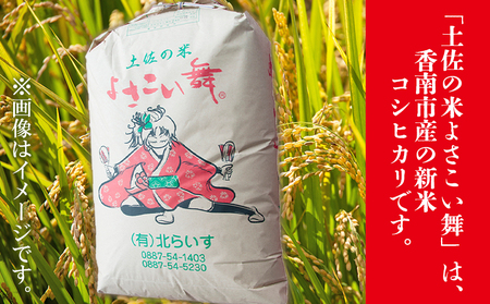 【令和7年産 新米】よさこい舞 5kg【米 精米 お米 コメ こめ 国産 米 美味しい 人気 土佐】 kr-0059