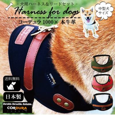ふるさと納税 守谷市 【中型犬用】ハーネス　コーデュラ×本牛革(レッド×ブラウン革) |  | 01