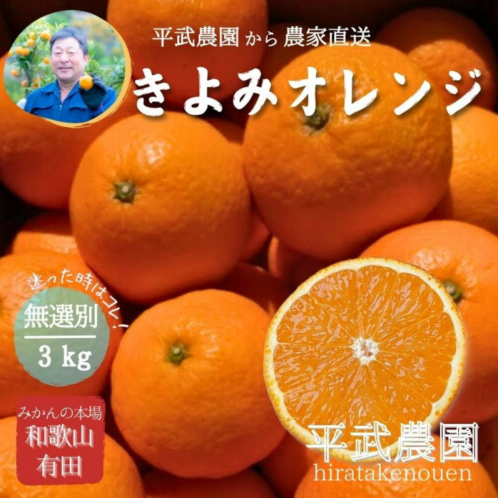 【ふるさと納税】農家直送！きよみオレンジ 3kg 無選別≪秀品・訳あり品・サイズ混合≫［平武農園］～蛍飛ぶ町から旬の便り～［2026年3月下旬から順次発送予定］ | フルーツ 果物 くだもの 食品 人気 おすすめ 送料無料