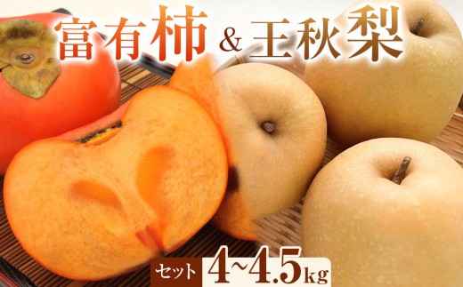 【先行予約】富有柿と王秋梨のセット 秀 4kg以上～4.5kg未満　※2026年11月上旬～12月上旬頃に順次発送予定【先行予約 梨 なし 柿 カキ フルーツ 果物 くだもの 鳥取県 北栄町 おすすめ 人気 送料無料】
