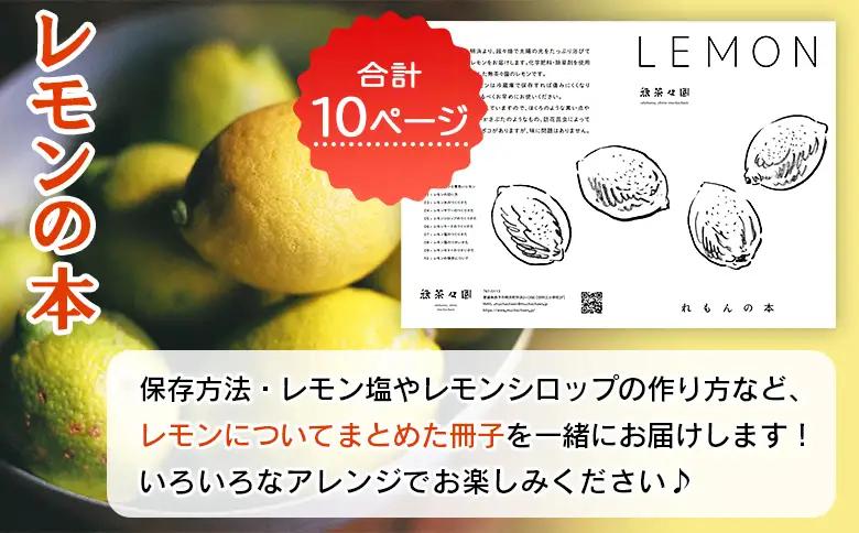 【先行予約】＜無茶々園のレモン 約1kg＋レモンの本＞ フルーツ 果物 くだもの れもん 檸檬 柑橘 香酸柑橘 国産 無茶々園 特産品 愛媛県 西予市【常温】『2027年1月～3月までに順次出荷予定』