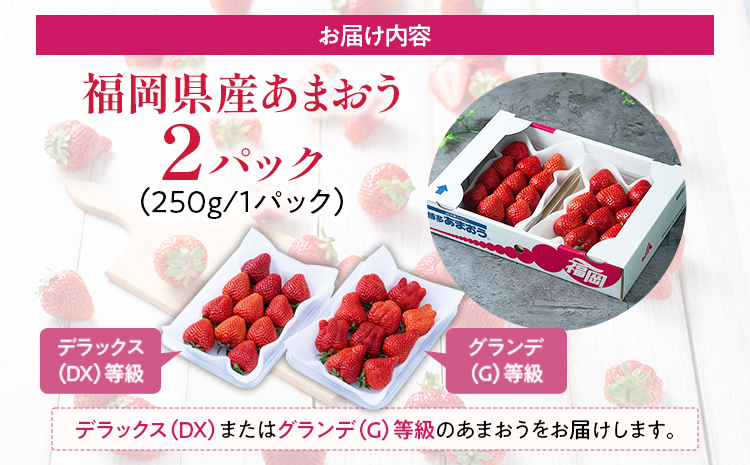 あまおう 福岡産【冬】あまおう 2パック 合計500g （1パックあたり250g） いちご 苺 果物 フルーツ 九州産 福岡県産 冷蔵 送料無料【12月上旬発送開始予定】
