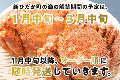 ＜2024年1月から順次発送＞ 北海道産 かに 浜ゆで 毛がに 2尾 計 600g 以上 ＜ 予約商品 ＞ 毛蟹 毛ガニ 北海道 冷蔵 けがに かに味噌 カニ味噌 ボイル 新ひだか町