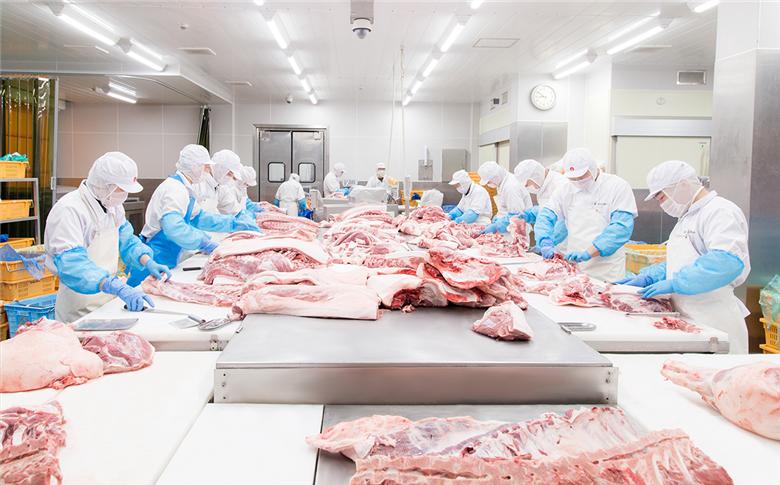 【 下妻工場直送 】国産豚肉味噌漬け 3種 食べ比べ 1.5kg 冷凍 ( 250g × 6パック / 小分け 真空包装 ) 【 豚肉 ロース セット パック 国産 豚ロース 味噌漬け 食べ比べ 西京