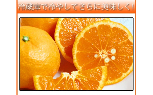 初夏のみかん　なつみ3kg　※2027年4月中旬頃〜2027年4月末頃に順次発送（お届け日指定不可）【uot753A】