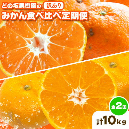 【ふるさと納税】どの坂果樹園の 訳ありみかん 食べ比べ定期便 全2回 合計10kg 訳ありゆら早生 訳あり早生みかん《10月中旬-1月末頃出荷》和歌山県 日高川町 みかん 定期便 早生 柑橘 フルーツ 果物 ミカン 柑橘 定期 産地直送 送料無料