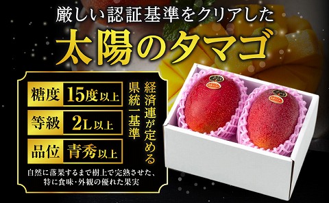 《2025年発送先行予約》【期間・数量限定】太陽のタマゴ 5Lサイズ 1玉
