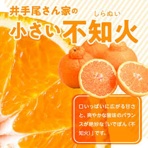 S086-004A_井手尾さん家の小さい不知火 約8kg 　家庭用〈先行予約〉