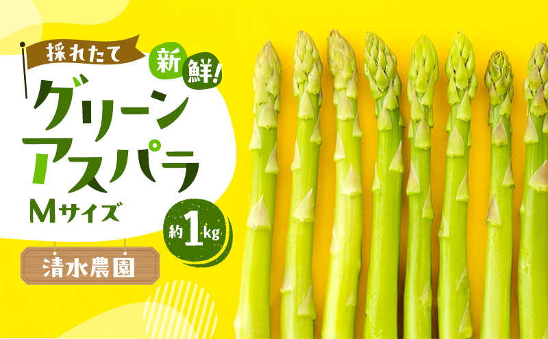 【2026年先行受付】ふらの産 採れたて グリーンアスパラ(Mサイズ)約1kg [清水農園] アスパラ アスパラガス Mサイズ 野菜 新鮮 甘い 北海道 富良野 ふらの