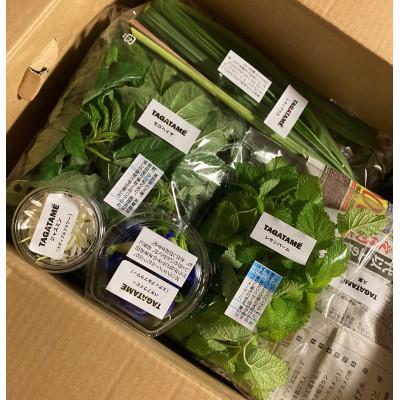 ふるさと納税 香川県 旬を楽しむTAGATAMEのおまかせお野菜セット(15品以上) |  | 02