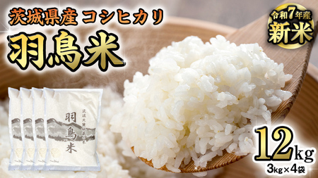 《 令和7年産 先行予約 》 コシヒカリ 「幻の米 羽鳥米」 12kg (3kg × 4袋) 筑波北麓秘蔵米 お米 ごはん 精米 コメ 白米 国産 茨城県 桜川市 限定 期間限定 数量限定 銘柄米 [AX002sa]