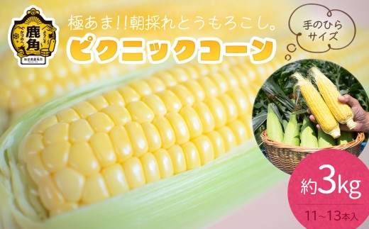 《 先行予約 》秋田県鹿角産 朝採り ピクニックコーン 約3kg（11～13本）【さとう農園】●2026年8月中旬発送開始 朝採り 甘い 秋田県 鹿角産 新鮮 野菜 安全 トウモロコシ スイートコーン 中元 お歳暮 母の日 父の日 グルメ ギフト 故郷 秋田 あきた 鹿角市 鹿角 送料無料