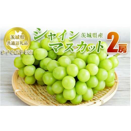 シャインマスカット 2房【茨城県共通返礼品 かすみがうら市】 マスカット ぶどう 果物 くだもの フルーツ 国産 茨城県 守谷市 送料無料　※2024年8月上旬～11月下旬頃に順次発送予定