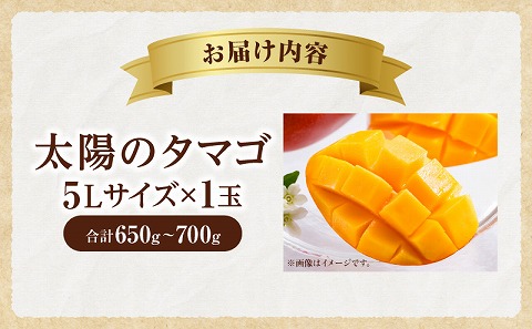 《2025年発送先行予約》【期間・数量限定】太陽のタマゴ 5Lサイズ 1玉