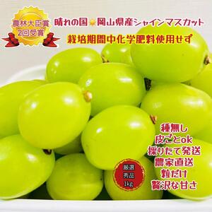 ぶどう 2025年 先行予約 シャインマスカット 厳選 秀品 粒だけ 約1kg 2025年7月上旬から発送 | フルーツ 果物 くだもの シャインマスカット マスカット 厳選 岡山県産 国産 ギフト 贈答用 プレゼント 贈り物 シャインマスカット マスカット フルーツ 果物 くだもの シャインマスカット マスカット
