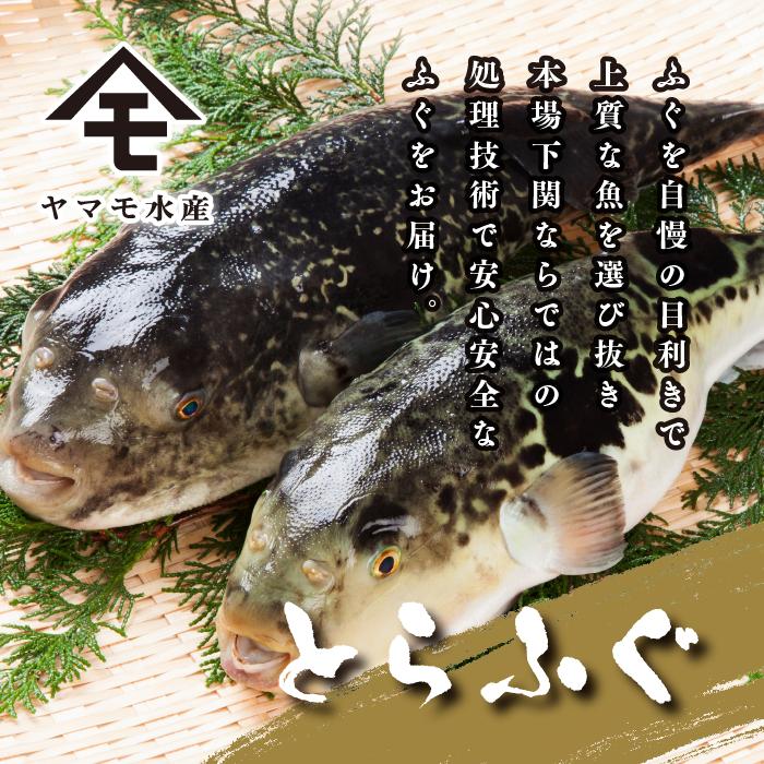 【お届け指定日必須】 ふぐ 刺身 鍋 セット 4人前 120g 冷蔵 (解凍出荷) 高級魚 とらふぐ てっさ てっちり ひれ 鍋 切身 低カロリー 高タンパク 低脂肪 コラーゲン 皮 ポン酢 もみじ 