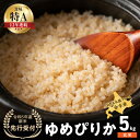 【ふるさと納税】【先行予約】◇令和6年産◇おたる木露ファーム 余市産 ゆめぴりか(玄米) 5kg[ふるさとクリエイト] 米 ごはん ブランド 北海道米 玄米 お取り寄せ 北海道 余市町 送料無料