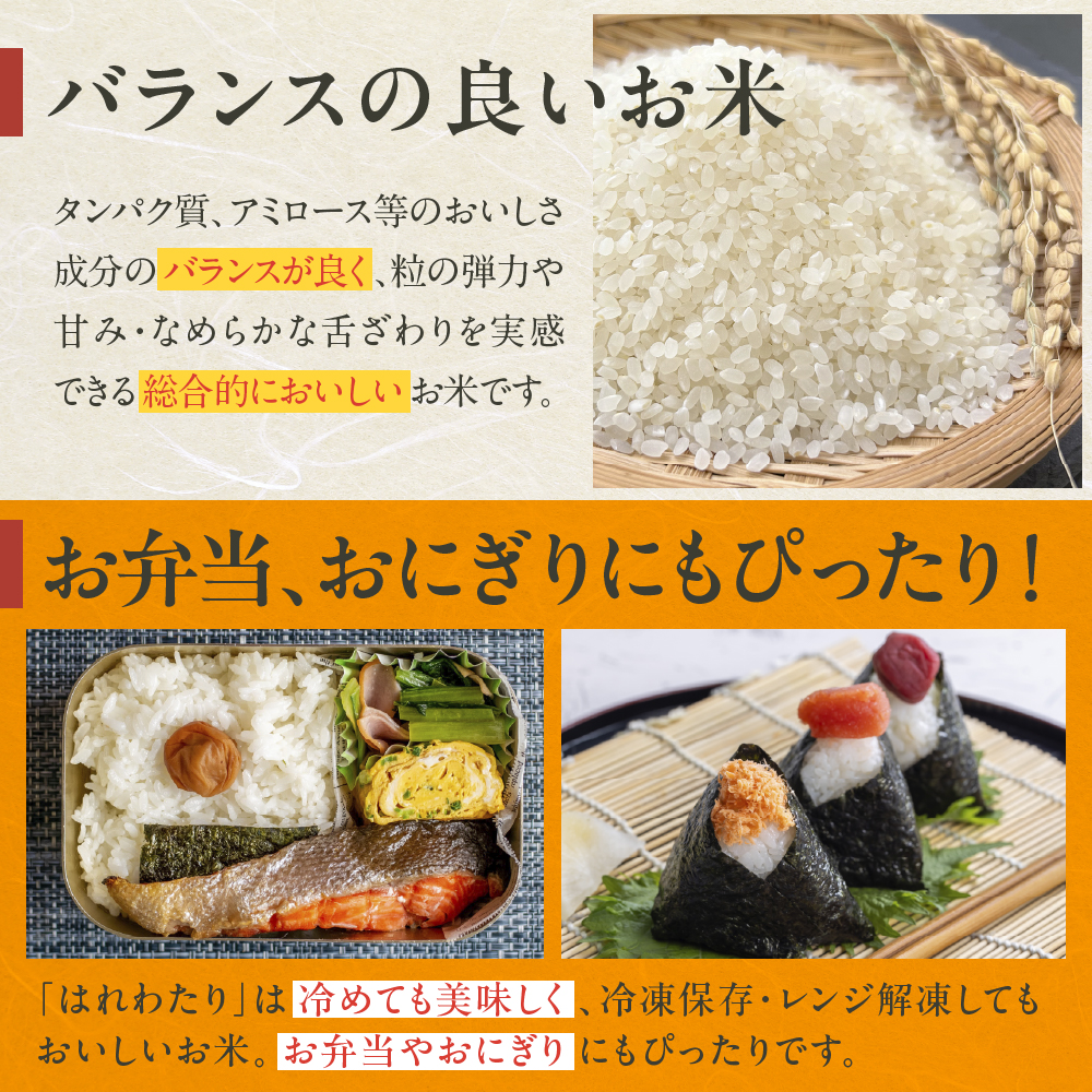 【2026年2月前半発送】米 5kg はれわたり (白米) 【精米 JA 農協 お米 コメ ご飯 5キロ】青森県 五所川原市