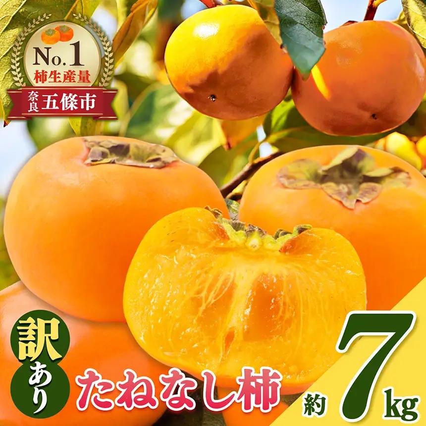 たねなし 柿 わけあり ！ 約 7kg | 柿 かき カキ 果物 フルーツ くだもの 訳あり 家庭用 ご家庭用 お歳暮 秋 味覚 奈良県 五條市