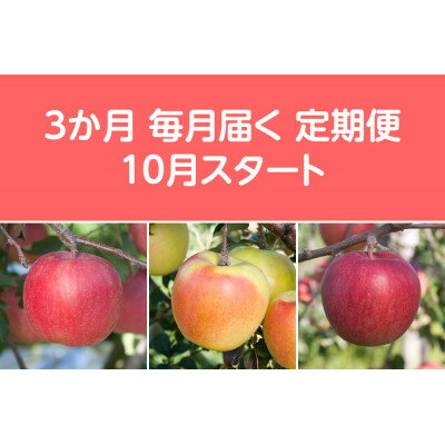 【ふるさと納税】【発送月固定定期便】先行予約〈2026年10月より順次発送〉甘味系・青森県産りんご約3kg 全3回【配送不可地域：離島・沖縄県】【4051688】