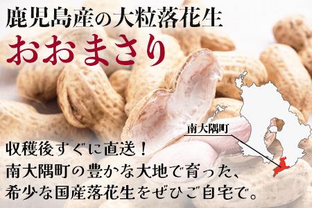 食べ応え抜群の大粒落花生「おおまさり」５００g袋×３袋≪数量限定≫★7月中旬より順次発送★鹿児島県産