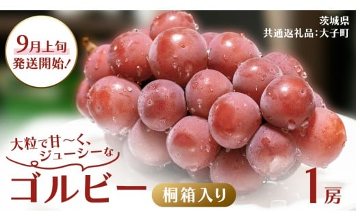 【桐箱入り】 ゴルビー １房【2025年9月上旬発送開始】(茨城県共通返礼品：大子町) ぶどう ブドウ 葡萄 果物 フルーツ 果実 贈答用 ギフト 贈り物 プレゼント