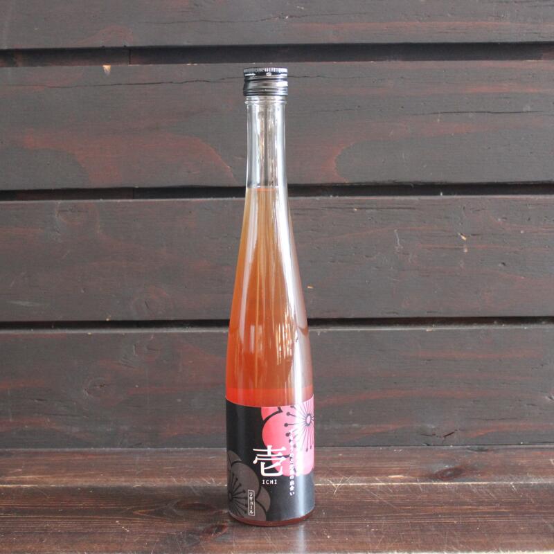 【ふるさと納税】壱～ICHI～ 泡盛梅酒 375ml×2本 完熟南高梅 すもも梅 数量限定 紀州みなべ梅酒特区 みなべ町