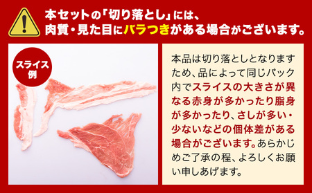 豚肉 ひごの ポーク 切り落とし 6kg 豚肉 しゃぶしゃぶ 切り落とし スライス 以上 真空 不揃い 数量限定 簡易包装 冷凍配送 小分け 《7-14日以内に出荷予定(土日祝除く)》 豚肉 豚 ぶた