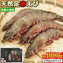 【ふるさと納税】紀州和歌山産天然足赤えび 540g×2箱(270g×4パック) 化粧箱入 魚鶴商店《11月上旬-2月末頃出荷》和歌山県 日高川町 足赤えび えび エビ