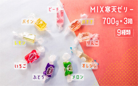 ミックスゼリー3箱セット　700g×3箱 ／ 寒天ゼリー お菓子糸寒天 愛知県 特産品 産地直送 田原市 渥美半島