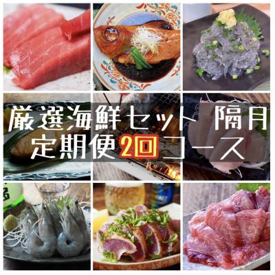 ふるさと納税 小田原市 【2ヵ月毎定期便】特選!海鮮セット!日本酒、焼酎のアテにピッタリ!【神奈川県小田原市早川】全2回
