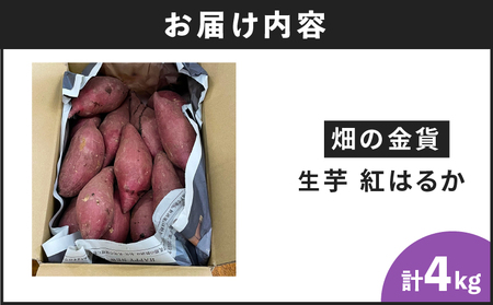 畑の金貨　生芋　紅はるか 4kg　K181-006 野菜 さつまいも さつま芋 薩摩芋 サツマイモ 長期 熟成 芋 ねっとり しっとり 焼き芋 焼芋 天ぷら スイートポテト 大学芋 料理 加治木産業 