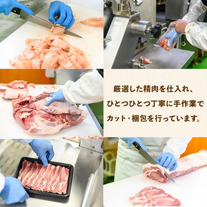 鹿児島県産豚バラエティー焼肉セット(合計2.7kg) 豚肉 焼肉 冷凍【ハピネス】A930
