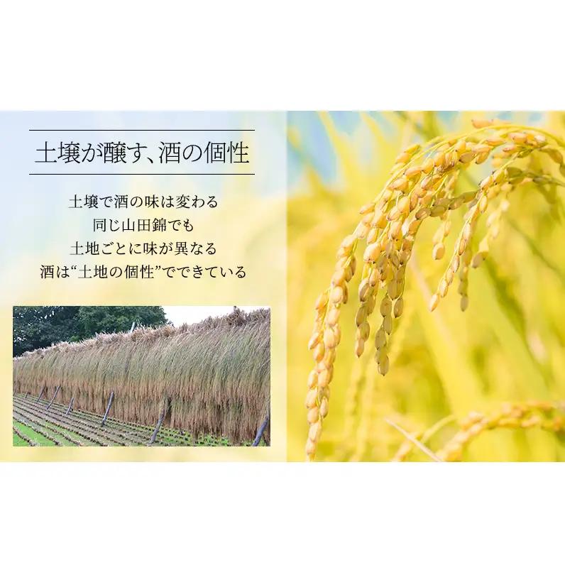 日本酒 大吟醸 龍力 米のささやき 720ml 100周年記念醸造酒 日本酒