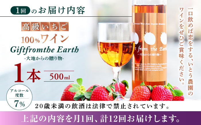 【12回定期便】【数量限定】高級 いちご 100％ワイン Giftfromthe Earth -大地からの贈り物- オーガニック【伊藤農園】 有機 お酒 ワイン オーガニックワイン  [ZBB020]