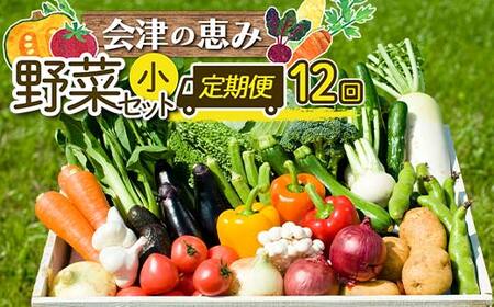 《定期便》＜3市町村共通返礼品＞会津の恵み野菜セット(小)《全12回》 朝採れ 野菜 お米 精米 米 セット 詰合せ 契約農家 朝採り 採れたて 新鮮 会津野菜 定期便 12回 12ヶ月 連続 F4D-1413