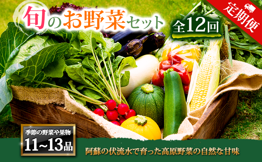 【定期便 全12回】<畑から直送>季節のお野菜セット XLサイズ 12回定期便 野菜 10?12品 定期便 全12回 詰め合わせ 新鮮 減農薬 高原 旬 産地直送 採れたて 甘い 美味しい 人気 安心 安全 熊本県 阿蘇市